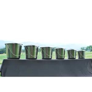 Stainless Steel Milk Pail Bucket with Lid & Handle