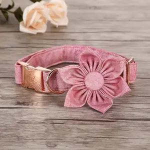 Elegant Little Tail Pink Girl Dog Collar for Female Dogs, Pet Collar Adjustable Dog Collars with Flower Gift for X-Small Dogs and Cats Elegant little tail