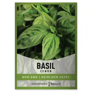 Lemon Basil Seeds
