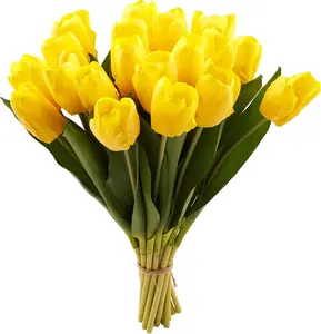 Golden Yellow Giant Tulip Bulbs – Pack of [9/18/27/36] Triumph Tulips for Fall Planting, Easy-to-Grow Perennial Spring Flowers for Outdoor Gardens