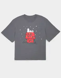 RSQ x Peanuts House Mens Boxy Tee