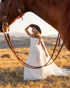 Western Cathedral Length Wedding Veil Bridal Accessory 120 Inches Hand-Drawn Embroidered Western Bit Reins Wheat Florals Horseshoes with Stars