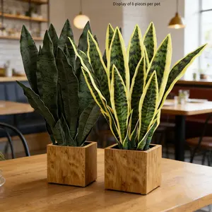 Modern Canvas Art Print Plant Wall Decor, Living Room Bedroom Office Corridor Background Decoration Gift for Friends Colleagues Family