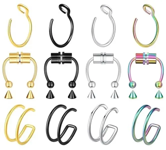 12 Pcs Nose Rings Hoops Nose Piercings Faux Fake Nose Ring Piercing Stud 20 Gauge 20G Silver Rainbow Nose Hoop Double Hoop Nose Rings for Women Men Faux Fake Piercings Septum Magnet Magnetic Septum Nose Ring Piercing Surgical Steel Hypoallergenic