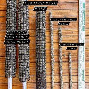 Collection Cluster (6poles/sticks)