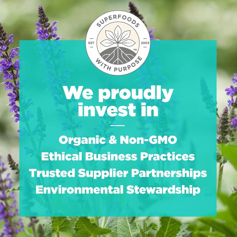 Navitas Organics Strawberry Peanut Chia Superfood+ BITES – Power Snacks – All Natural Plant Based – Clean Energy & Nutrition – USDA Organic, Non GMO, Gluten Free, Kosher, Vegan (8oz. Bag 11 Servings)