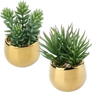 Small Artificial Succulents in Pots Set of 2 Realistic Faux Succulents Plants with Gold Ceramic Pots Cute Mini Fake Plants Decor for Modern Home Table Office Desk Bathroom Shelf Decoration