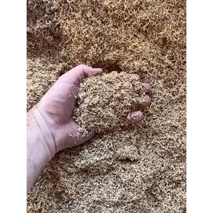 Premium New Zealand Sphagnum Moss Petals - 1 Gallon Loose Fill (+/- 85 grams)