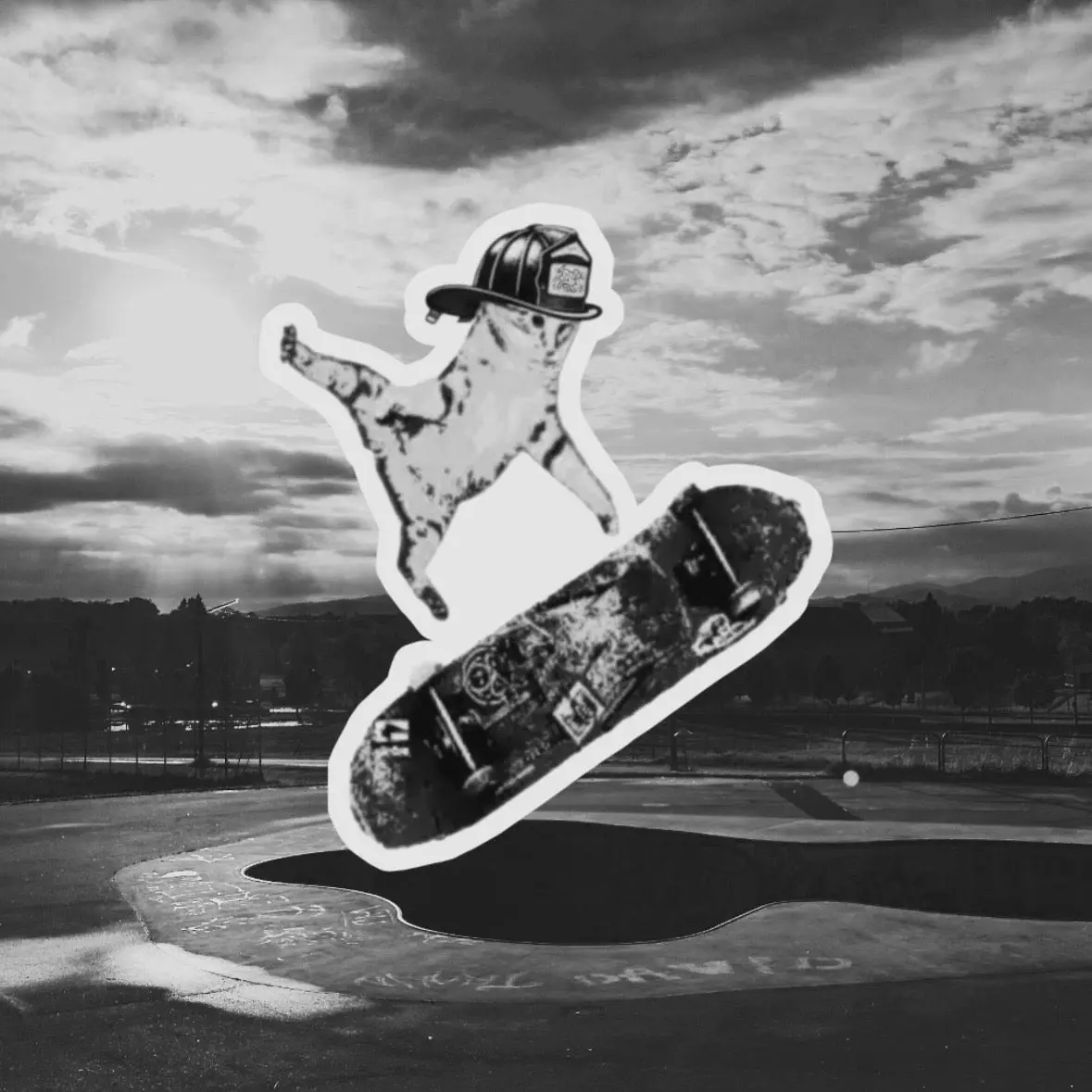 Kitty skateboarding Kitty skateboarding