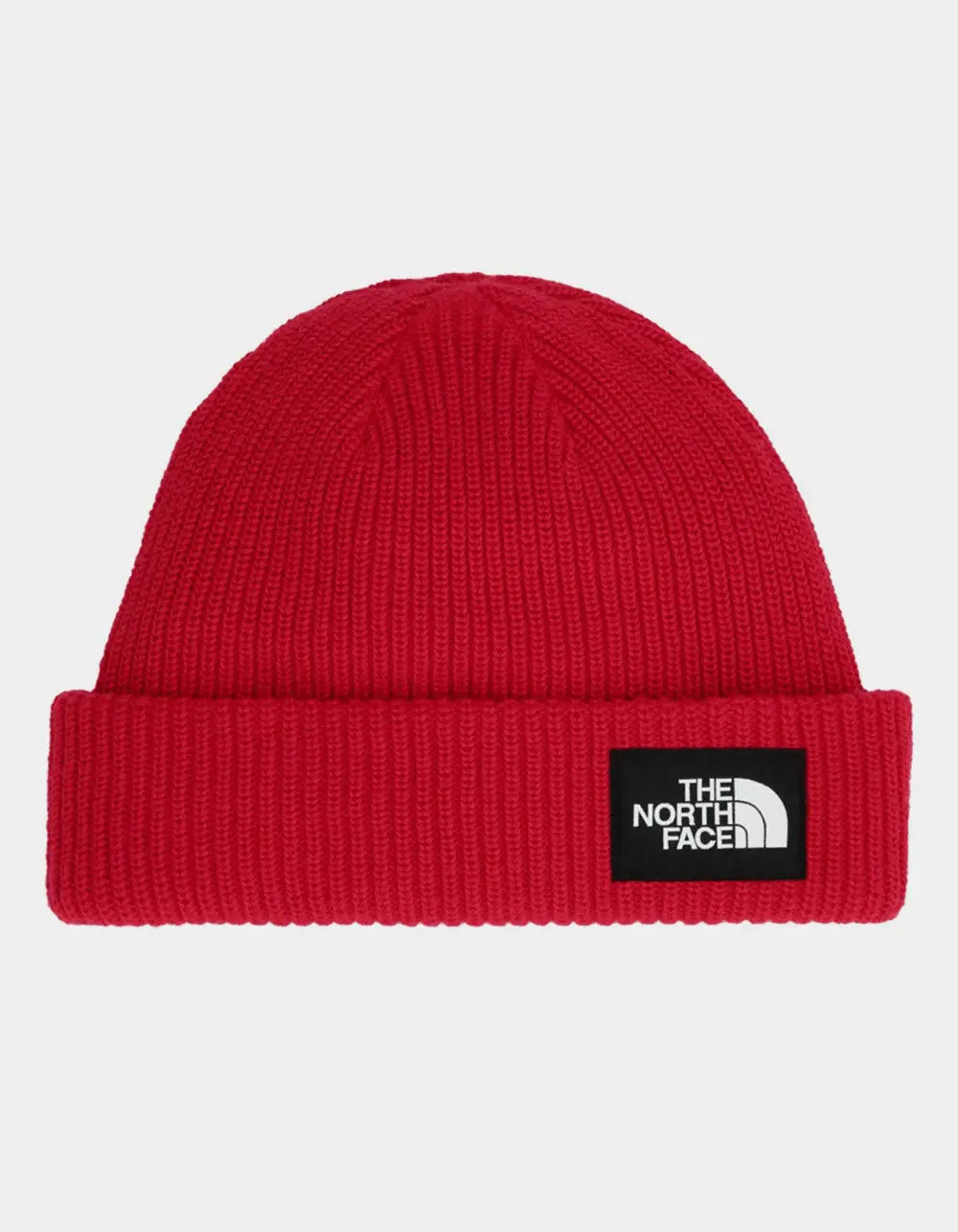THE NORTH FACE  Mens Salty Lined Beanie