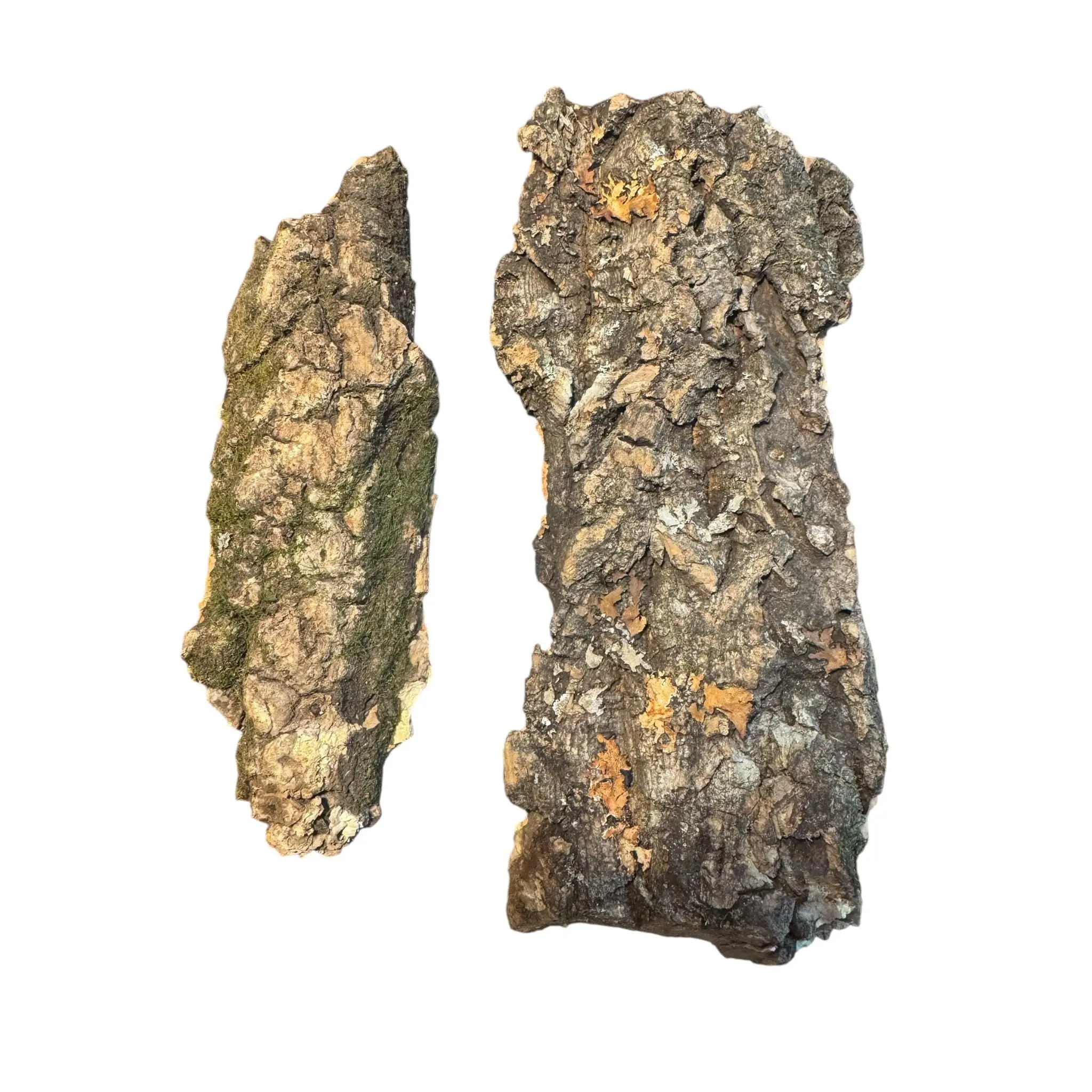 Cork Bark Slabs for Isopods, Reptiles & Bioactive Terrariums