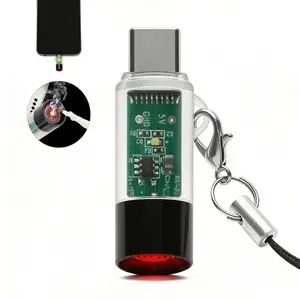 Type-C Electric Lighter - Not for Samsung Phones -  mini, Lightweight, Activated by plugging into Mobile Phone, Gifts for dad son boys friends Automatically Turns Off After 10 Seconds