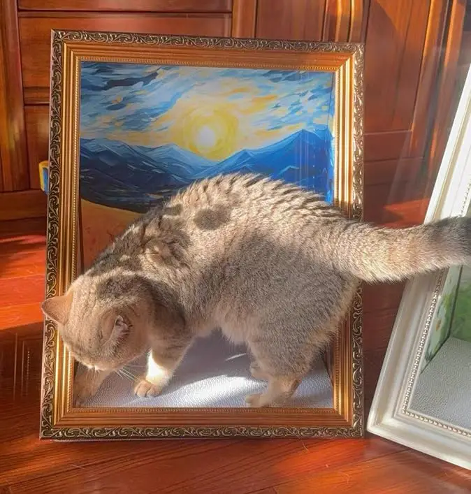 Art 3D Oil Painting Cat Nest for Artist Kitten Art Frame Cat Nest with Scratching Board Cat Nest for All Seasons Cat Toy Cat House