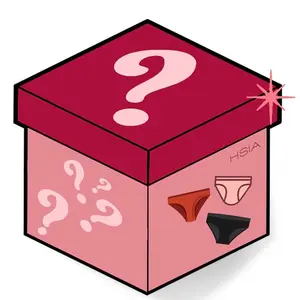 HSIA Mystery Soft Lace Mesh Panties Set (3-Pack)