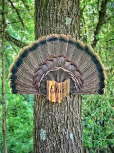 Ohio Turkey Fan Plaque