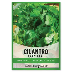 Slow Bolt Cilantro Seeds For Planting Herb Gardening Indoors and Outdoors Salsa Garden Heirloom Gift