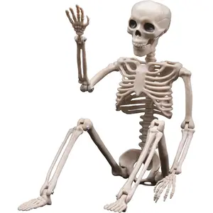 Halloween Decoration Outdoor Skeleton, 16" Plastic Posable Skeleton with Movable Joints, Small Hanging Skeletons for Halloween Decor, Haunted House Graveyard Props