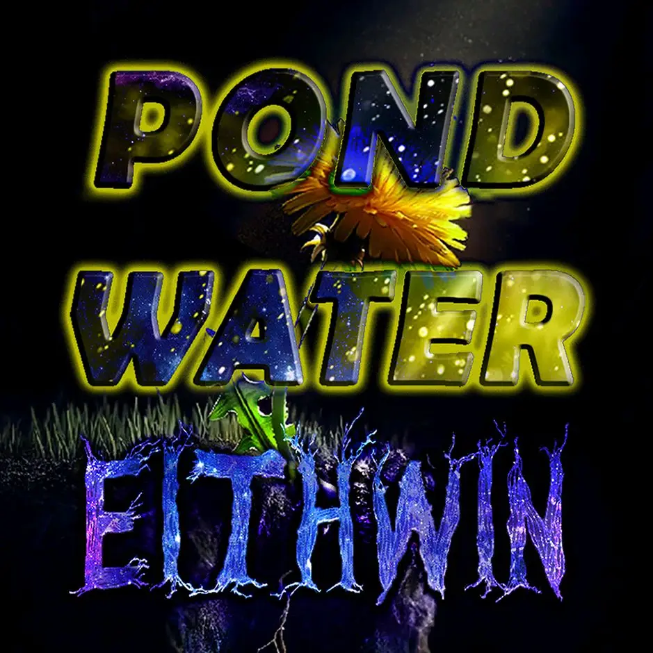 Eithwin - Pond Water 4 - Soft Cover - Editor's Choice Award Winner - Gripping Thriller
