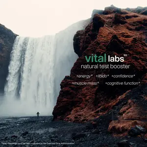 Men's Supplement by Vital Labs