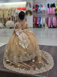 Gold Dress with Gold Appliqués and Butterfly Details 2 IN 1