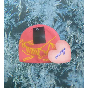 Arc'teryx Bird Head Toque, Cozy Orange Beanie, Streetwear Winter Favorite