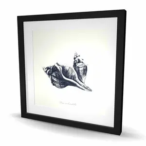 Begin Home Decor C1FM2424QNHYIN 24 x 24 in. Blue Horse Conch Seashells Framed Print Wall Art - Coastal Home Decor