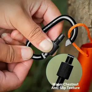 6 D-shaped buckle rings and key chains