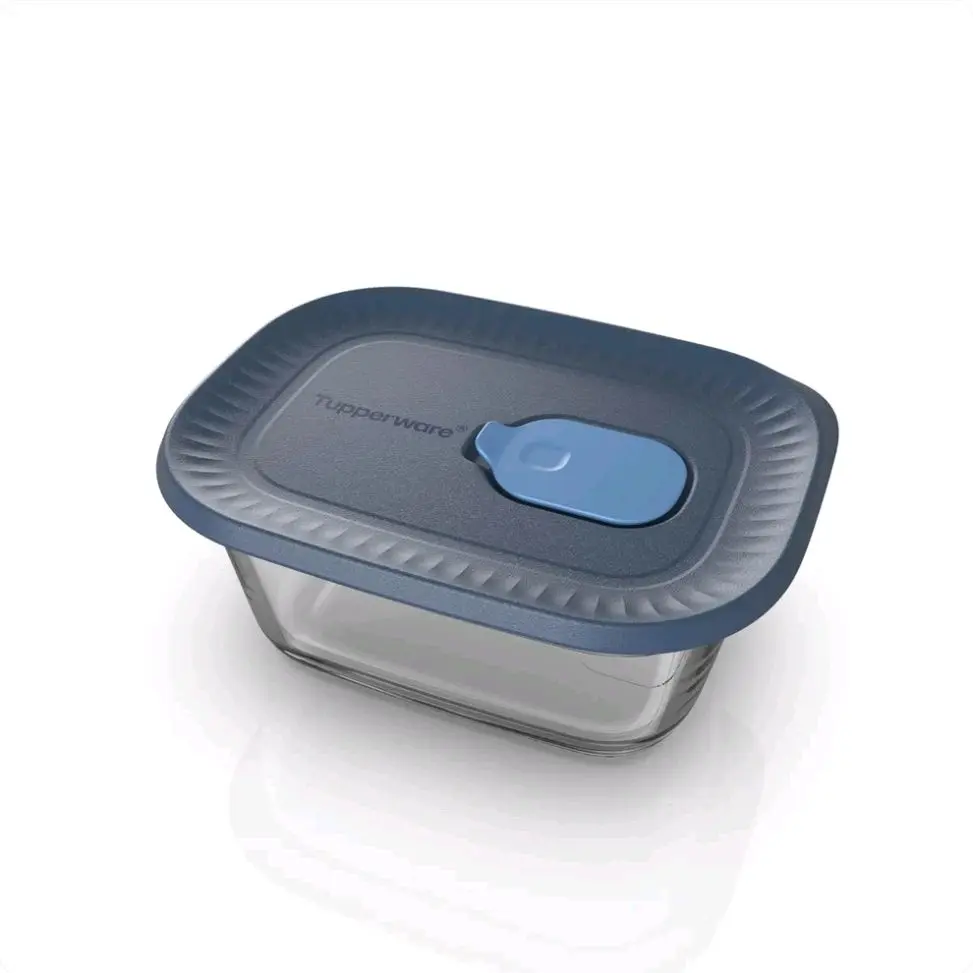 Voila Glass Food Storage Container | Rectangular Mini