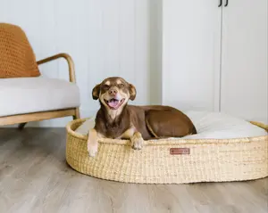 Design Dua Brothers Dog Bed - Handcrafted Natural Elephant Grass, Fitted Cushion Included