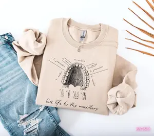 Dental Anatomy Sweatshirt, Tooth Dental Hygiene Sweater, Dental Hygienist Gift, Dental Assistant Graduation Gift, Office Student