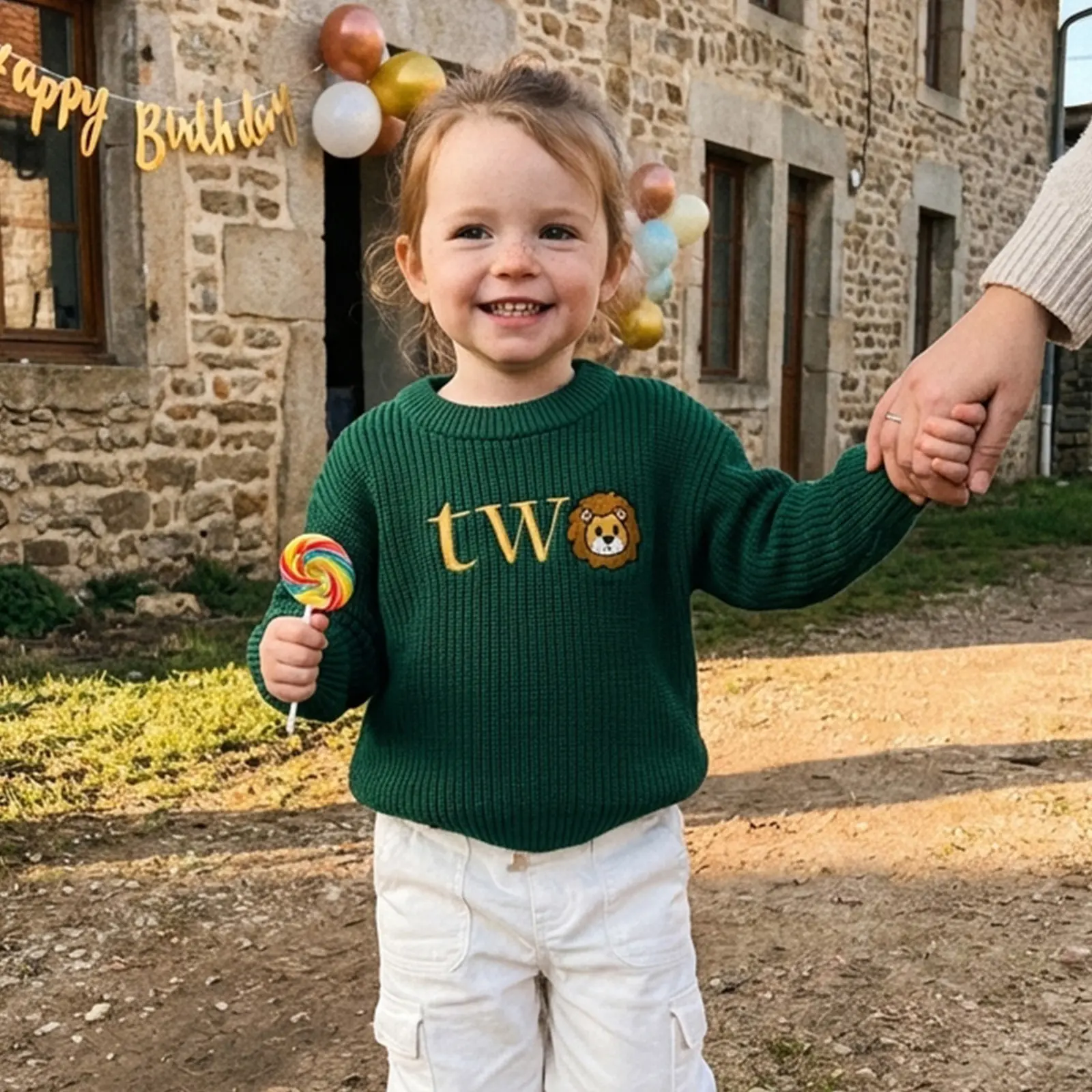 Toddler Boy's Lion Embroidered Crewneck Sweater, Long Sleeve Cotton Blend Knit Top for Fall, Winter Birthday | Sizes 18-24 Months, 2-3 Years, Crew Neck, Birthday Gifts, Pullovers, Pullover, Birthday Gift Ideas, Embroidery