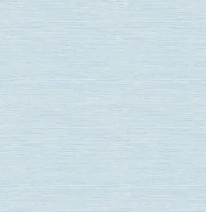 4169-24283 Agave Sky Blue Faux Grasscloth Wallpaper