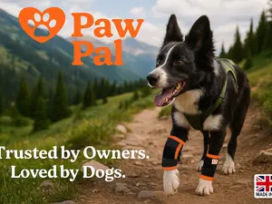 New in USA - Multi Award Winning - PawPal ActiveFlex – Performance Leg Wraps for Active Dogs - Pack of 2 Wraps
