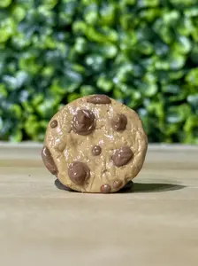 Whimsical Hand-Made Art Magnets Chocolate Chip Cookie