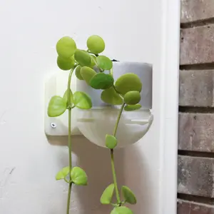 Hazard Inks Wall Planter - Spinning Design for Even Light Exposure, Secure Wall Mount with Detachable Water Bowl, Translucent 3D Printed PLA for DIY Customization