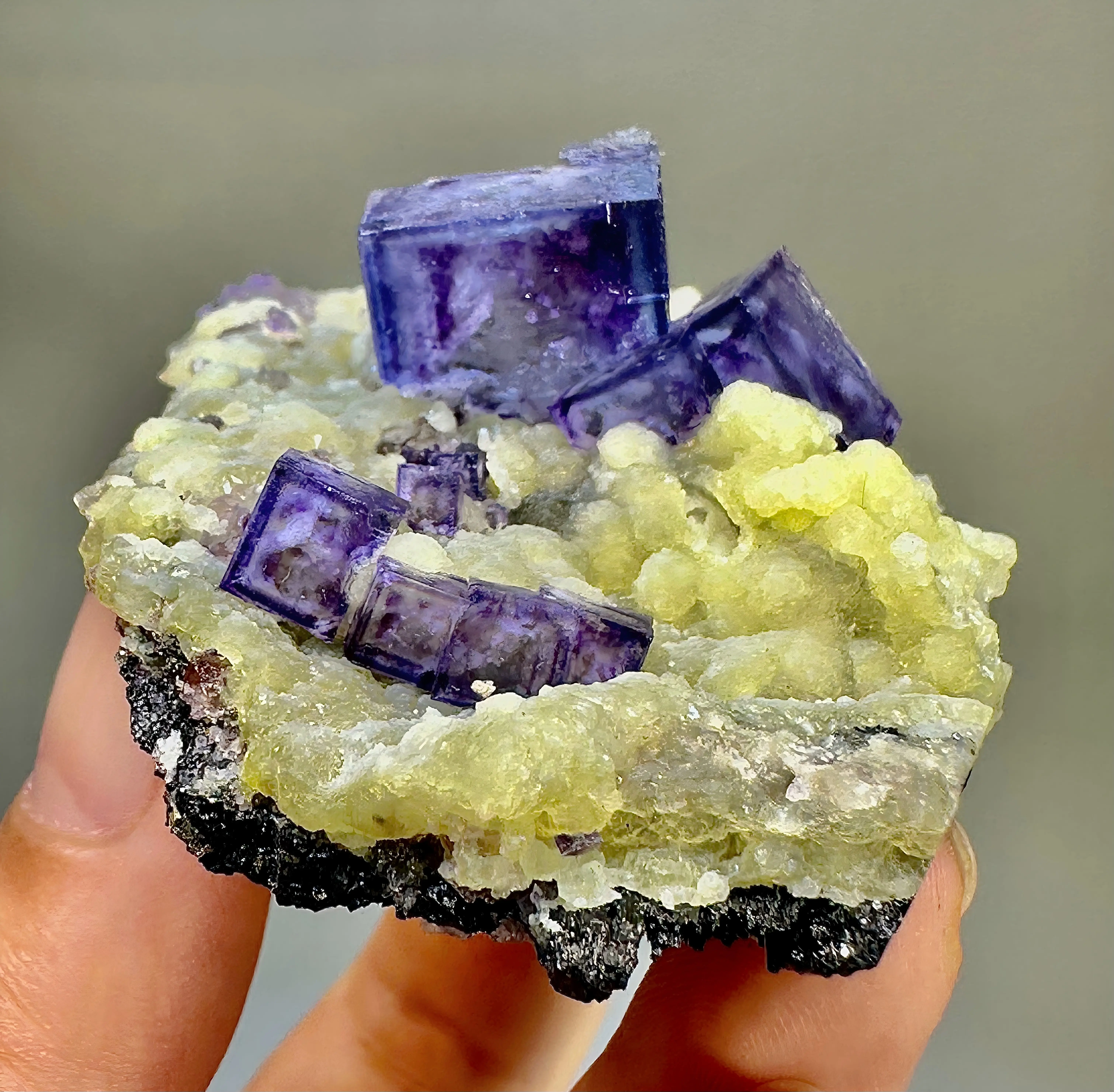 Superb quality YGX fluorite, featuring multiple crystals in the most classic blue‑purple cubic form, with purple windows – the top choice for collectors.