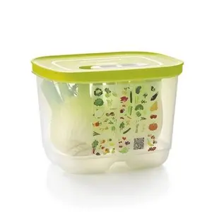 Fridgesmart Fresh Storage Container with Vegetable Design Lid for Organized Refrigerator Organization