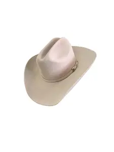 61 Silverbelly - Stetson, 10x Shasta Skyline Brim 4" Western Felt Cowboy Hat