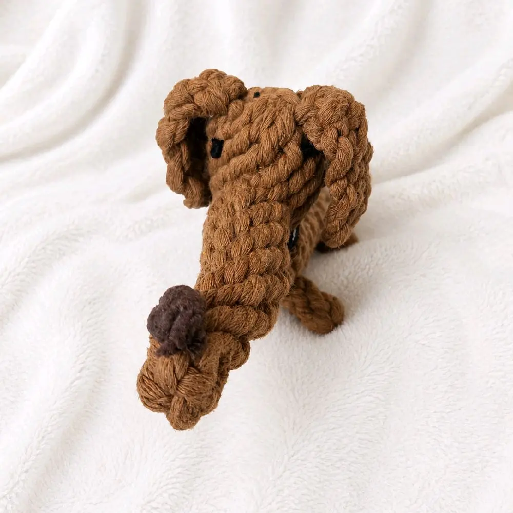 Millie the Dachshund