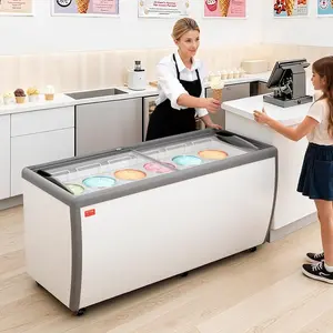 fathersdaygift VEVOR Commercial Ice Cream Display Case, 20 Cu. ft Chest Freezer, Restaurant Gelato Dipping Cabinet Top Deep Freezer with Locking Casters, Sliding Glass Door, LED Lighting, Hold 12 Ice Cream Tubs