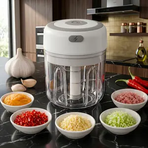 250ML Electric Garlic Chopper, Mini Portable Veggie Choppers, Garlic Grinder Masher Onion Chopper, Blender to Vegetable, Wireless Food Processor for Ginger, Chili, Fruit, Meat, etc