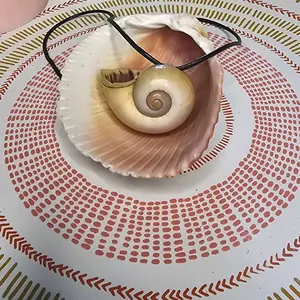 Snail shell necklace