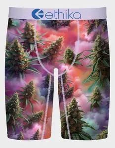 ETHIKA Zodiac Mens Boxer Briefs