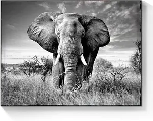 Bedroom Elephant Canvas Wall Art African Wild Animal Po0rtrait Picture Rustic Wildlife Print Black and White Jungle Landscape Painitng Modern Phorographic Artwork for Bathroom Livirng Room Home Office Box Decor Gift Poster Decoration Photo Hanging Kitchen