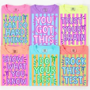 Striped Neon Test Day Comfort Colors Shirt Bundle, Matching State Testing Teacher Team Tee, Cute School Testing Day Shirt, Testing Coordinator Gift, Unisex Casual Top