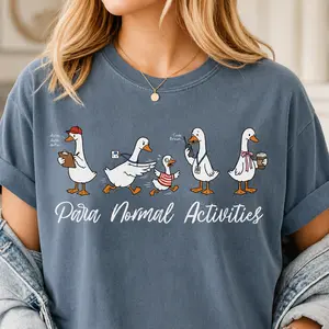 Paraprofessional Silly Goose Comfort Colors Shirt, Para Normal Activities, SpEd RBT Teacher Aide Gift