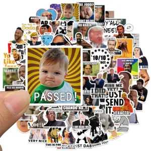 100 Pieces New Trendy Funny Meme Vinyl Decorative Stickers for Laptops Water Bottles Skateboard Backpacks etc