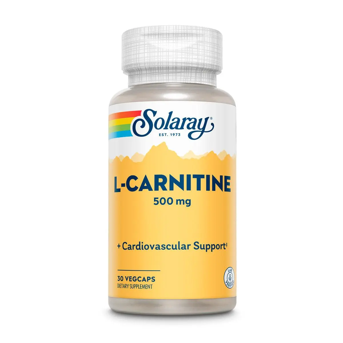 L-Carnitine, Free Form 500mg