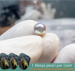 【Tom】Akoya (6-7mm Seawater Pearl 1 Akoya pearl per clam) Seawater Pearls Round with shiny luster｜Live Opening Non-Refundable NO RETURNS OR REFUNDS AFTER
