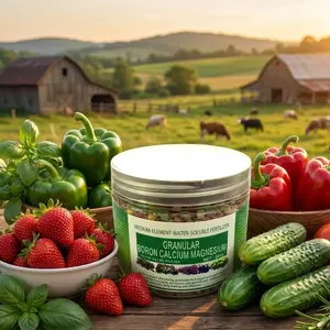 Granular Boron Calcium Magnesium Universal Plant Fertilizer 200g | Slow-Release, Water-Soluble Trace Element Formula for Flowers, Vegetables and Agricultural Crops, Rich in Nutrients and Easy to Apply